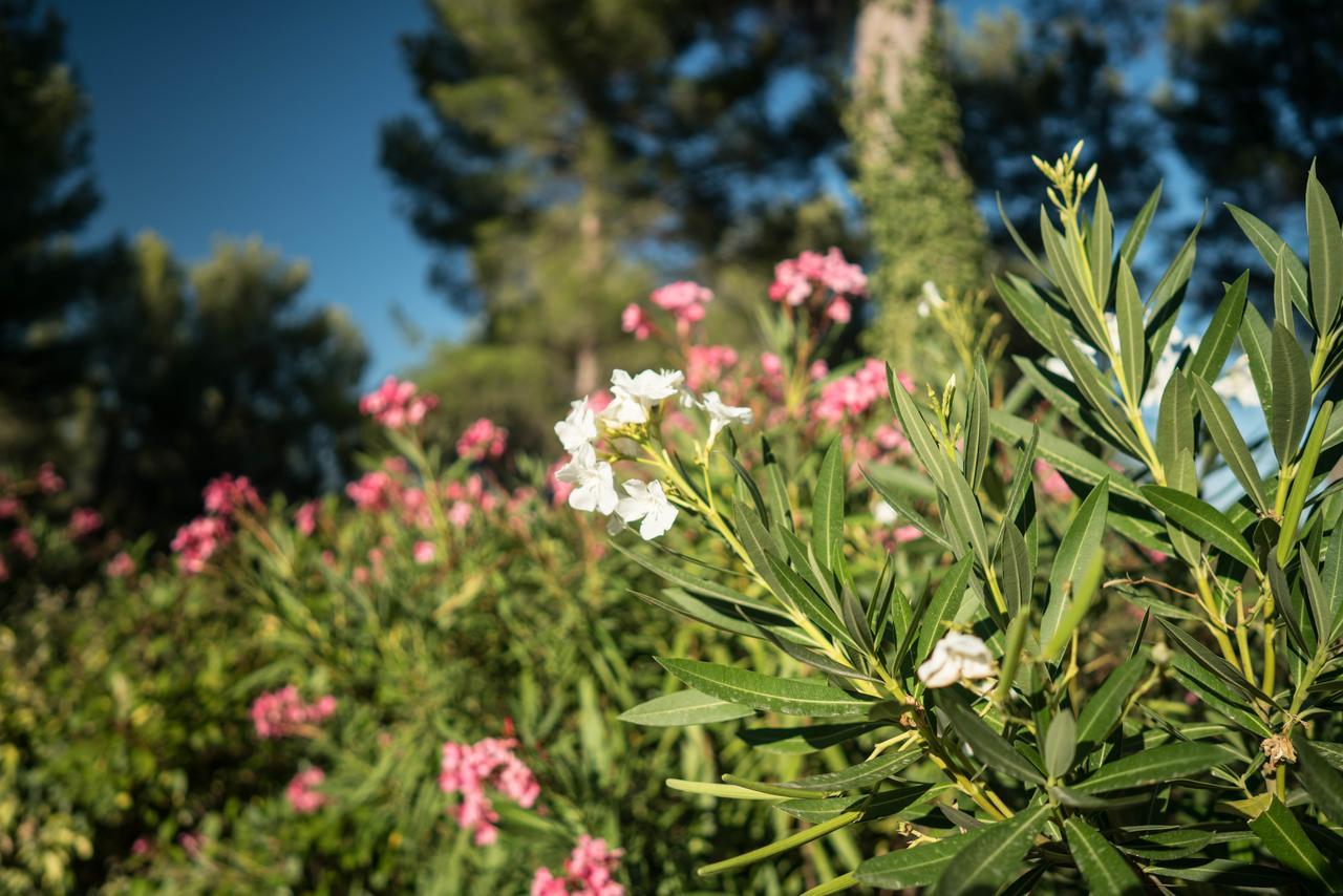 مبيت وإفطار آيكس أومبروفينس Domaine De Saint Clair المظهر الخارجي الصورة